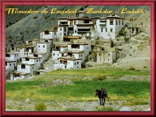 Escapade en-inde-jack-50