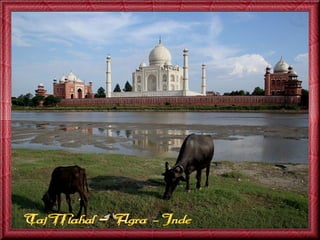 Escapade en-inde-jack-50