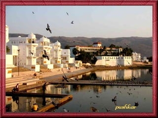 Escapade en-inde-jack-50