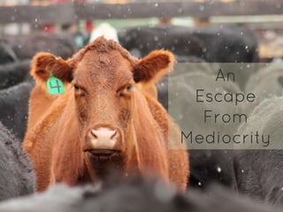 An
 Escape
  From
Mediocrity
 
