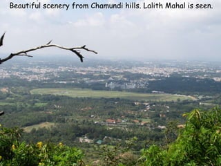 Beautiful scenery from Chamundi hills. Lalith Mahal is seen.
 
