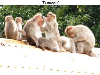 ‘Teamwork’
 