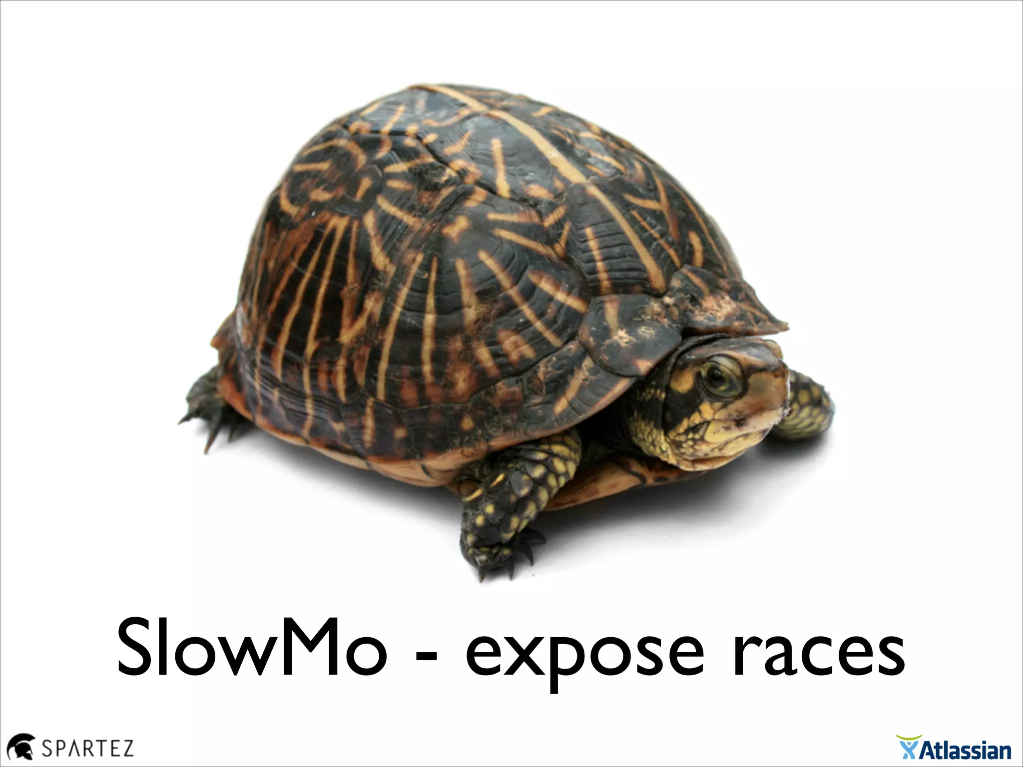 SlowMo - expose races
 