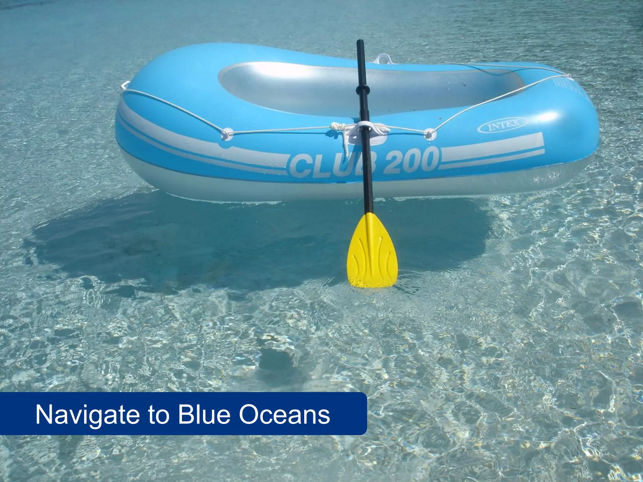 Navigate to Blue Oceans
                          13
 