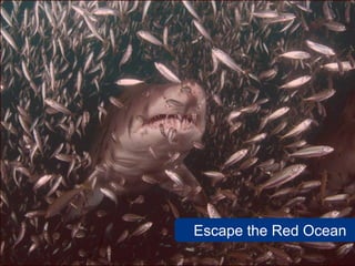 Escape the Red Ocean
                 12
 
