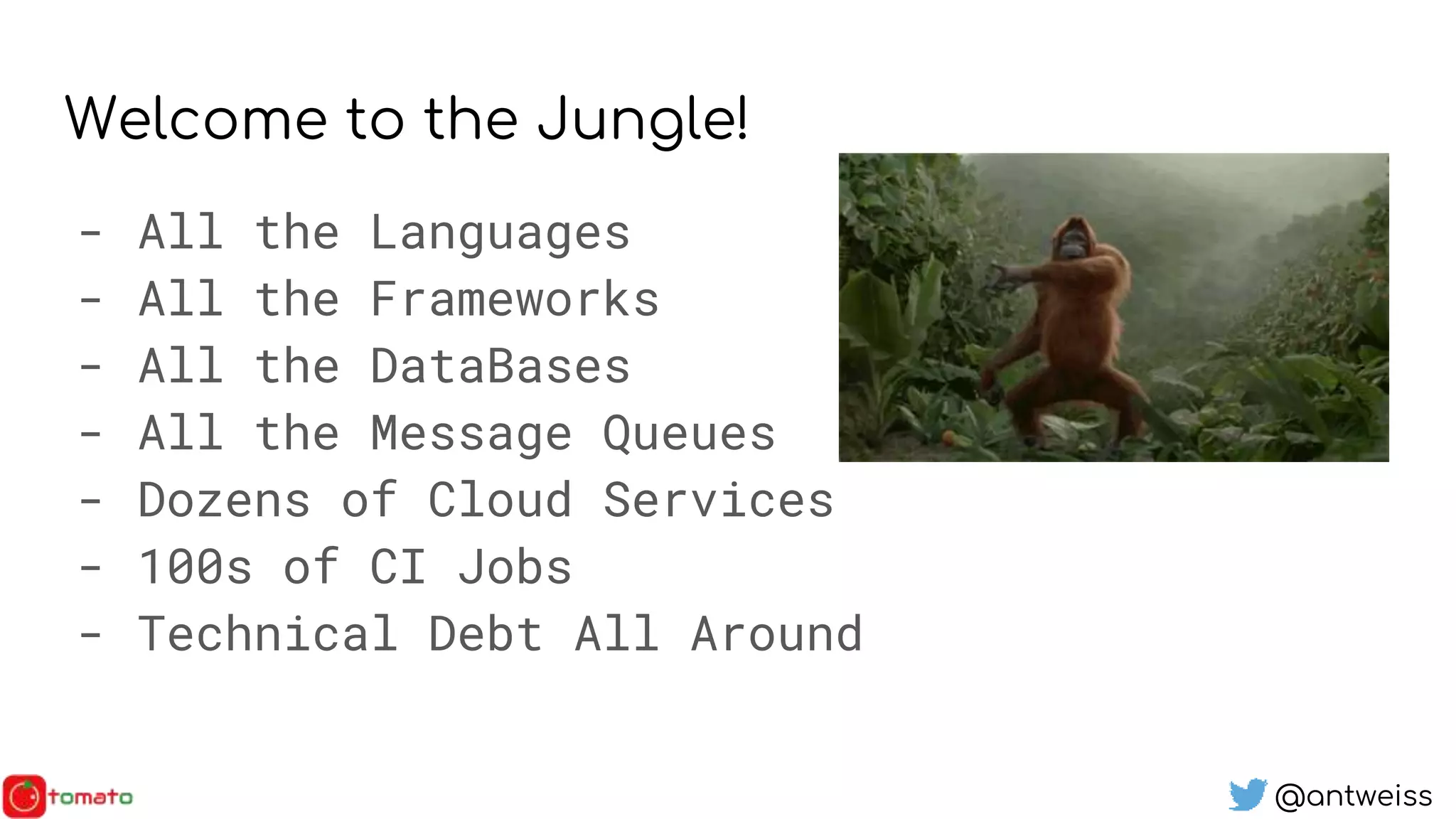 @antweiss
Welcome to the Jungle!
- All the Languages
- All the Frameworks
- All the DataBases
- All the Message Queues
- Dozens of Cloud Services
- 100s of CI Jobs
- Technical Debt All Around
 