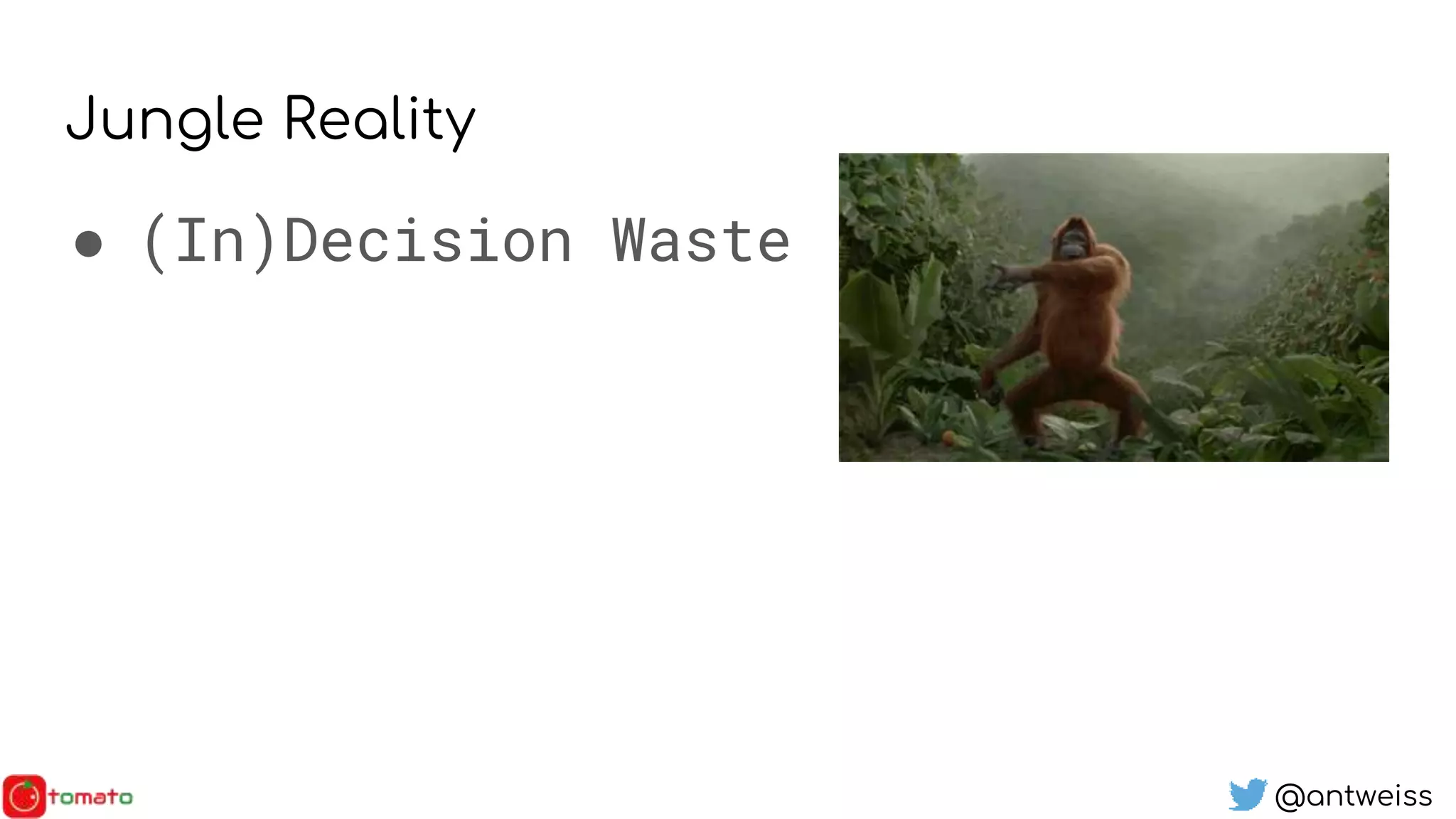 @antweiss
Jungle Reality
● (In)Decision Waste
 