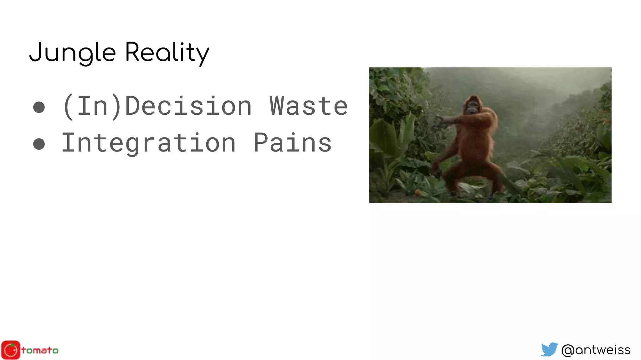 @antweiss
Jungle Reality
● (In)Decision Waste
● Integration Pains
 