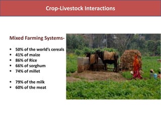 Food production and sustainable agriculture policies: Reminding the role of livestock