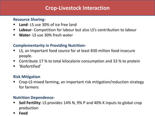 Food production and sustainable agriculture policies: Reminding the role of livestock