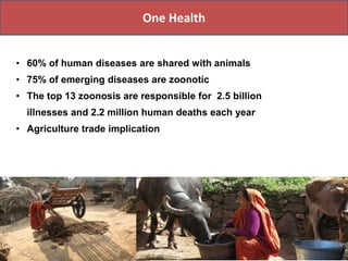 Food production and sustainable agriculture policies: Reminding the role of livestock