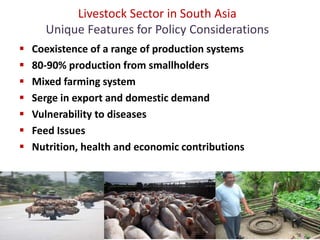 Food production and sustainable agriculture policies: Reminding the role of livestock