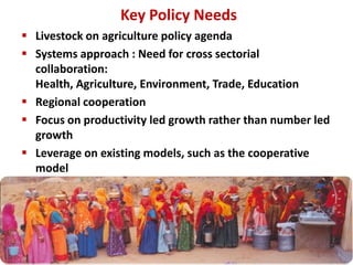 Food production and sustainable agriculture policies: Reminding the role of livestock