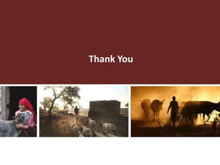 Food production and sustainable agriculture policies: Reminding the role of livestock