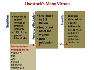 Food production and sustainable agriculture policies: Reminding the role of livestock