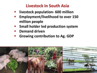 Food production and sustainable agriculture policies: Reminding the role of livestock