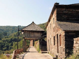 FERREIRA – LOS OSCOS
 