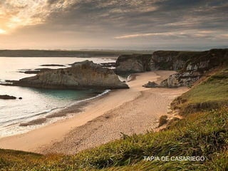 TAPIA DE CASARIEGO
 