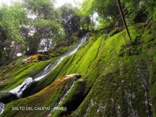 SALTO DEL CALEYU - PANES
 