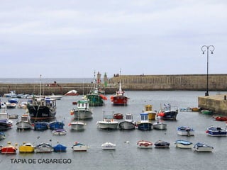 TAPIA DE CASARIEGO
 