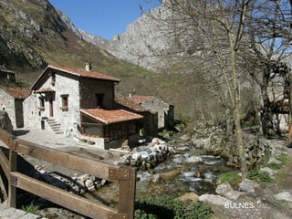 BULNES
 