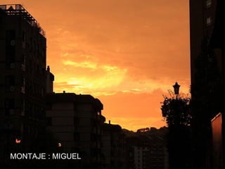 MONTAJE : MIGUEL
 