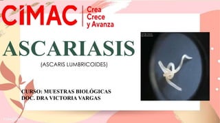 ASCARIASIS
CURSO: MUESTRAS BIOLÓGICAS
DOC. DRA VICTORIA VARGAS
(ASCARIS LUMBRICOIDES)
 