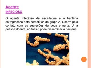 AGENTE
INFECIOSO

O agente infecioso da escarlatina é a bactéria
estreptococo beta hemolítico do grupo A. Ocorre pelo
contato com as secreções da boca e nariz. Uma
pessoa doente, ao tossir, pode disseminar a bactéria.
 