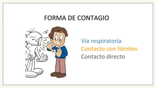 FORMA DE CONTAGIO
Vía respiratoria
Contacto con fómites
Contacto directo
 