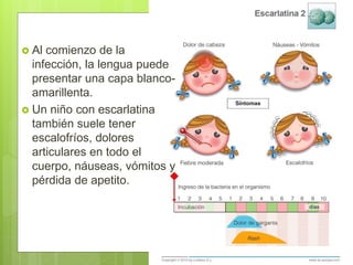  Al comienzo de la
infección, la lengua puede
presentar una capa blanco-
amarillenta.
 Un niño con escarlatina
también suele tener
escalofríos, dolores
articulares en todo el
cuerpo, náuseas, vómitos y
pérdida de apetito.
 