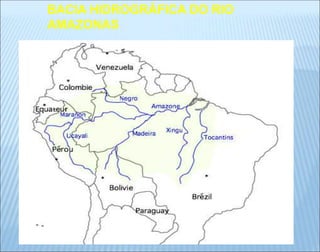 BACIA HIDROGRÁFICA DO RIO
AMAZONAS
 