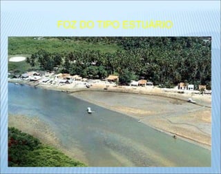 FOZ DO TIPO ESTUÁRIO
 