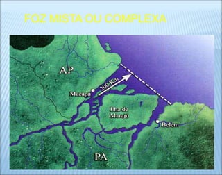FOZ MISTA OU COMPLEXA
 