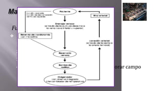 Función de la MCEC
❖ Cuatro funciones Básicas:
1. Oxigenación y eliminación CO2.
2. Circulación de Sangre.
3. Enfriamiento y calentamiento sangre.
4. Desvío de sangre del corazón para mejorar campo
quirúrgico.
 