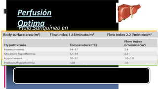 Perfusión
Optima
Flujo Sanguíneo en
CEC
¿ Que pasa con otros órganos?
❑ Estudios animales sometidos a bajos ﬂujos.
❑ Órganos viscerales(riñón,TGI, páncreas) con compromiso de
ﬂujo que NO resuelve con vasopresores.
❑ Mejor control función POP a > ﬂujo CEC.
No estudios con gran evidencia que soporten mínimo ﬂujo
tolerado en normotermia e Hipotermia.
 