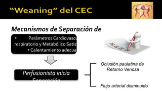 Mecanismos de Separación de
CEC
• Parámetros Cardiovascular,
respiratorio y Metabólico Satisfactorios.
• Calentamiento adecuado.
•Ventilado.
Perfusionista inicia
Separación
Oclusión paulatina de
Retorno Venosa
Flujo arterial disminuido
 