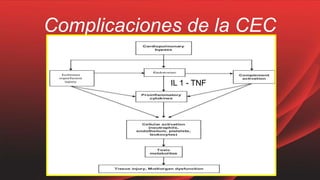 Complicaciones de la CEC
IL 1 - TNF
 
