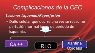 Complicaciones de la CEC
Lesiones Isquemia/Reperfusión
• Daño celular que ocurre una vez se reasume
perfusión normal luego de periodo de
isquemia.
Ca ++ RLO
Xantina
Oxidasa
 