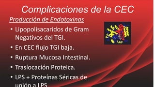 Complicaciones de la CEC
Producción de Endotoxinas
• Lipopolisacaridos de Gram
Negativos del TGI.
• En CEC flujo TGI baja.
• Ruptura Mucosa Intestinal.
• Traslocación Proteica.
• LPS + Proteínas Séricas de
 