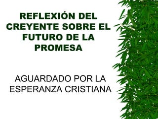 REFLEXIÓN DEL CREYENTE SOBRE EL FUTURO DE LA PROMESA AGUARDADO POR LA ESPERANZA CRISTIANA 