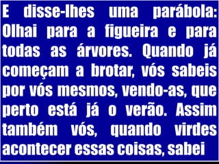E disse-lhes uma parábola:
Olhai para a figueira e para
todas as árvores. Quando já
começam a brotar, vós sabeis
por vós mesmos, vendo-as, que
perto está já o verão. Assim
também vós, quando virdes
acontecer essas coisas, sabei
 