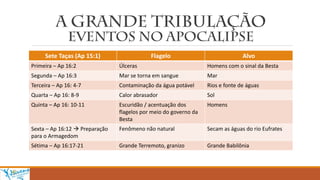 Sete Taças (Ap 15:1) Flagelo Alvo
Primeira – Ap 16:2 Úlceras Homens com o sinal da Besta
Segunda – Ap 16:3 Mar se torna em sangue Mar
Terceira – Ap 16: 4-7 Contaminação da água potável Rios e fonte de águas
Quarta – Ap 16: 8-9 Calor abrasador Sol
Quinta – Ap 16: 10-11 Escuridão / acentuação dos
flagelos por meio do governo da
Besta
Homens
Sexta – Ap 16:12  Preparação
para o Armagedom
Fenômeno não natural Secam as águas do rio Eufrates
Sétima – Ap 16:17-21 Grande Terremoto, granizo Grande Babilônia
 
