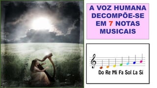 A VOZ HUMANA
DECOMPÕE-SE
EM 7 NOTAS
MUSICAIS
 