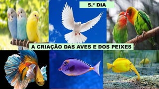 5.º DIA
A CRIAÇÃO DAS AVES E DOS PEIXES
 
