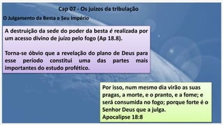 O Julgamento da Besta e Seu Império
Cap 07 - Os juízos da tribulação
A destruição da sede do poder da besta é realizada por
um acesso divino de juízo pelo fogo (Ap 18.8).
Torna-se óbvio que a revelação do plano de Deus para
esse período constitui uma das partes mais
importantes do estudo profético.
Por isso, num mesmo dia virão as suas
pragas, a morte, e o pranto, e a fome; e
será consumida no fogo; porque forte é o
Senhor Deus que a julga.
Apocalipse 18:8
 