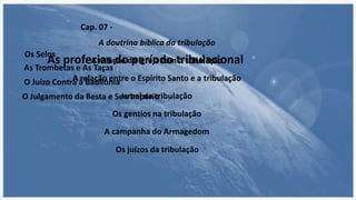 As profecias do período tribulacional
A doutrina bíblica da tribulação
A relação da igreja com a tribulação
A relação entre o Espírito Santo e a tribulação
Israel na tribulação
Os gentios na tribulação
A campanha do Armagedom
Os juízos da tribulação
Cap. 07 -
Os Selos
As Trombetas e As Taças
O Juízo Contra a Babilônia
O Julgamento da Besta e Seu Império
 