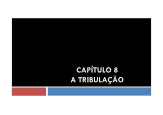 CAPÍTULO 8
A TRIBULAÇÃO

 