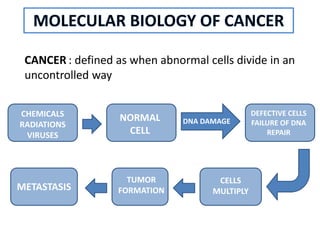 Escc esophageal squamous cell carcinoma | PPTX