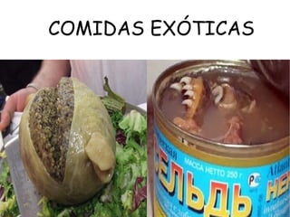 COMIDAS EXÓTICAS
 