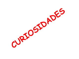 CURIOSIDADES
 